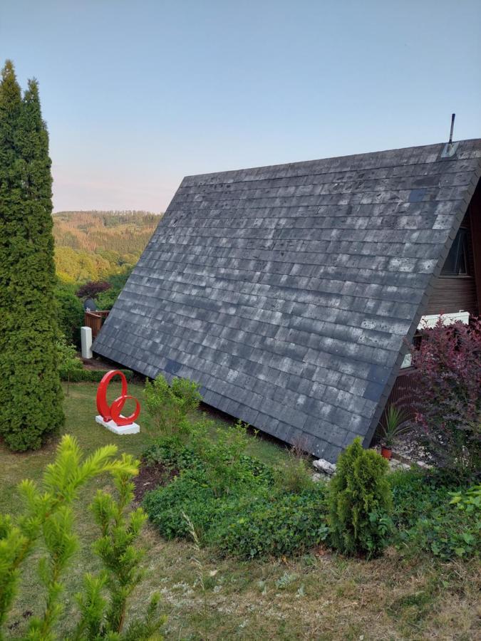 Haus Am See Willingen Willingen  Exterior photo