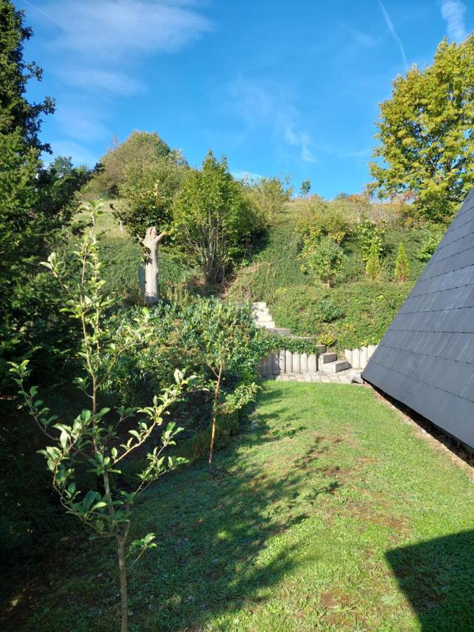 Haus Am See Willingen Willingen  Exterior photo