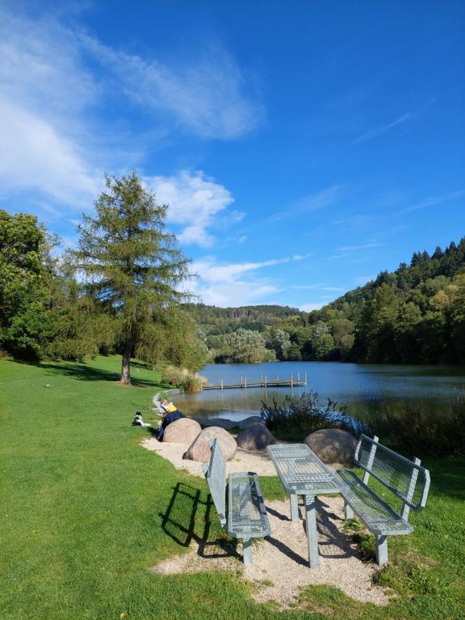 Haus Am See Willingen Willingen  Exterior photo